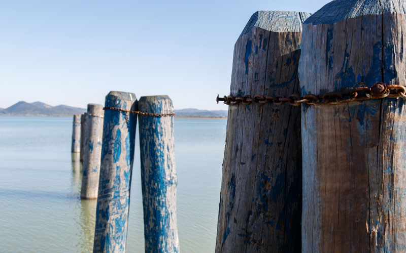 UN GIORNO TRA LE ISOLE DEL LAGO TRASIMENO 

